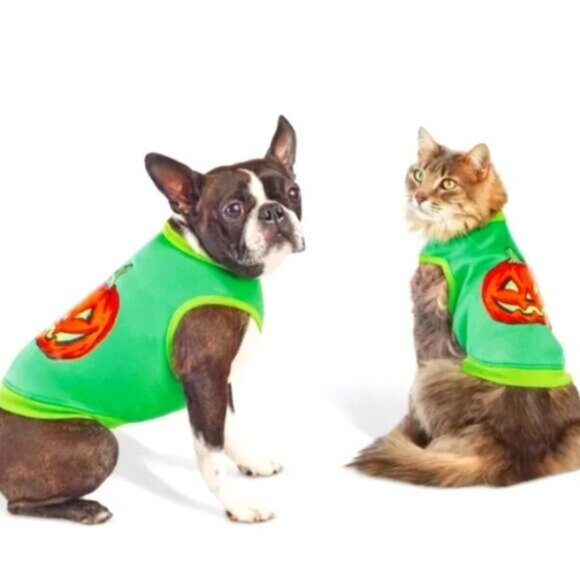 MED 🎃 Halloween Jack-o-lantern Hyde & EEK! Boutique Pumpkin CAT & DOG Costume - Picture 8 of 17